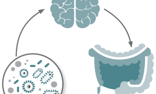 Relación entre el Microbioma y nuestro Comportamiento
